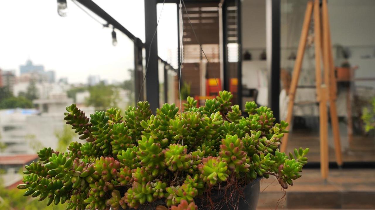 Loft Remedios - Penthouse Cdmx - Areas Comunes Compartidas Città del Messico Esterno foto