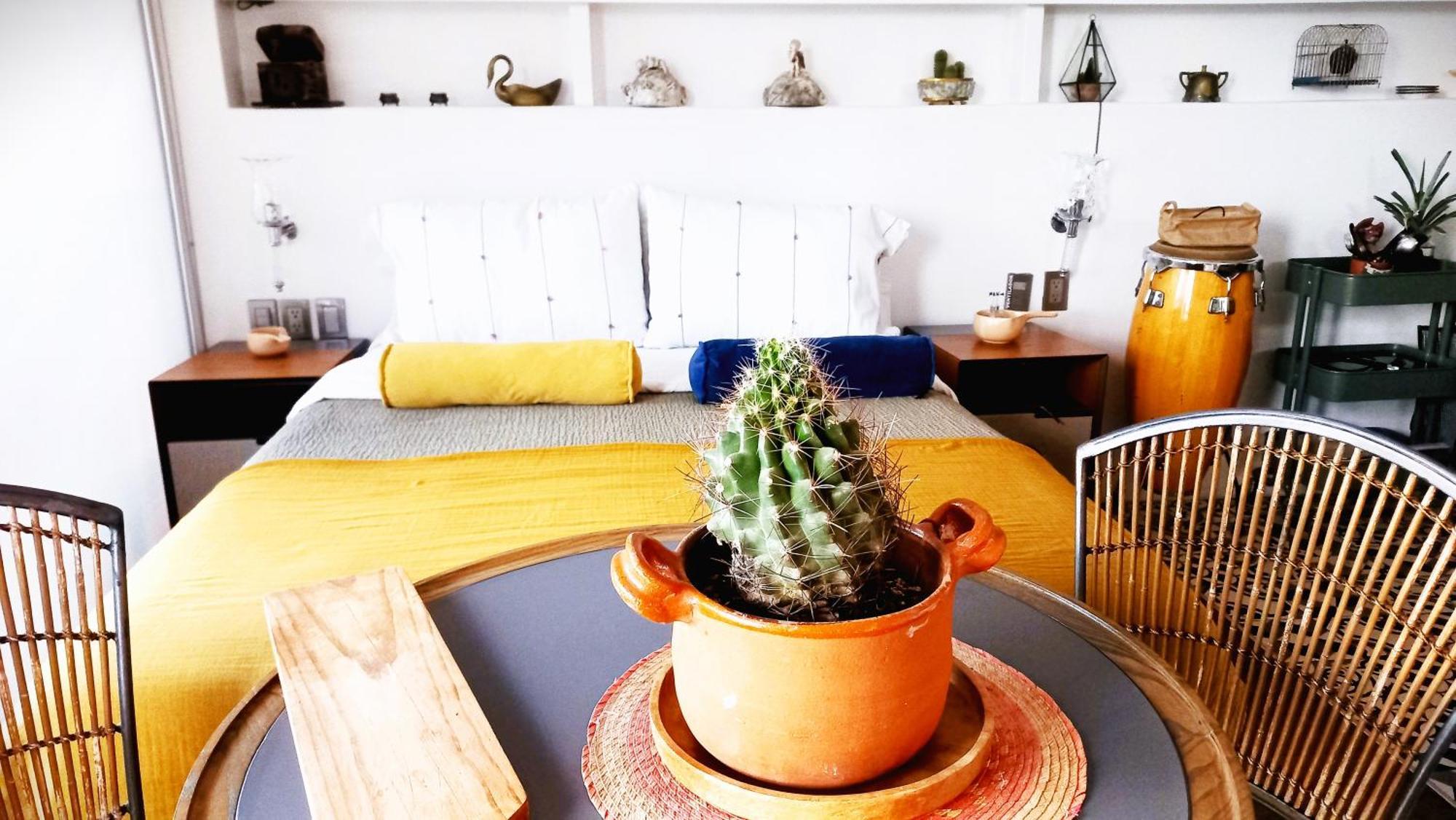 Loft Remedios - Penthouse Cdmx - Areas Comunes Compartidas Città del Messico Esterno foto